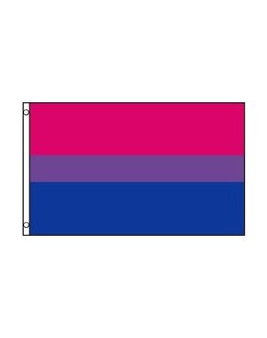 RAINBOW BI FLAG POLYESTER