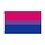 RAINBOW BI FLAG POLYESTER