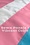 FLAG PLACE TRANS PRIDE FLAG NYLON