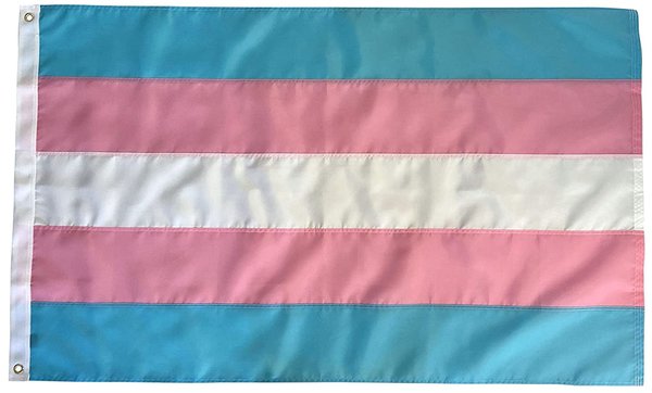 FLAG PLACE TRANS PRIDE FLAG NYLON