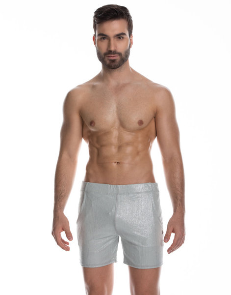 GIGO UNDERWEAR GIGO SHEER SILVER SHORTS
