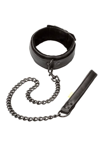 CalExotics BOUNDLESS COLLAR & LEASH