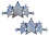 PASTEASE.COM PASTEASE DEMI SILVER GLITTER STAR BREAST COVERS