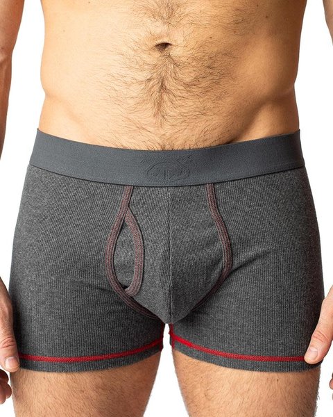 NASTY PIG NASTY PIG UNION TRUNK GREY