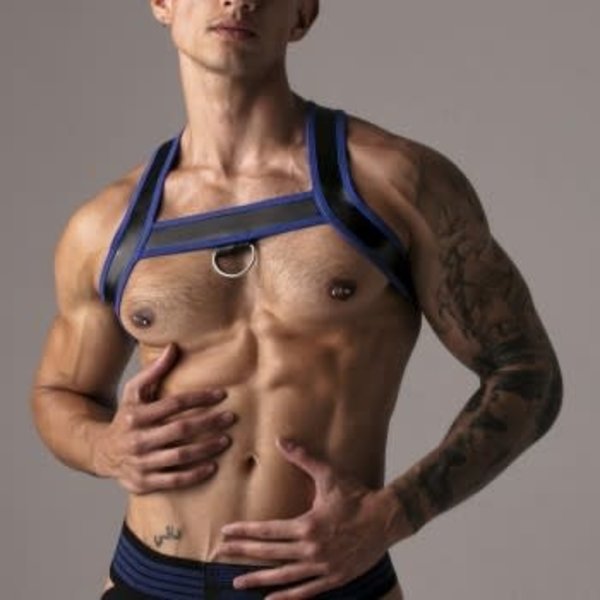 LOCKER GEAR LOCKER GEAR HARDER HARNESS