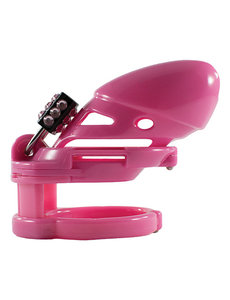 LOCKED IN LUST LOCKED IN LUST THE VICE PLUS