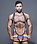 ANDREW CHRISTIAN ANDREW CHRISTIAN PRIDE MESH SINGLET W/ ALMOST NAKED