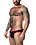 NASTY PIG NASTY PIG PROFILE LOWRISE BRIEF BLK/RED