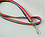 RAINBOW LANYARD WITH BADGE CLIP