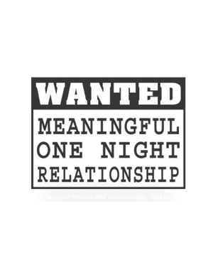 RAINBOW WANTED MEANINGFUL RELATIONSHIP STICKER