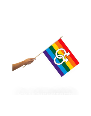RAINBOW RAINBOW GAY PARADE FLAG 12" X 18"(MALE SYMBOL)