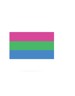 RAINBOW POLYSEXUAL STICKER