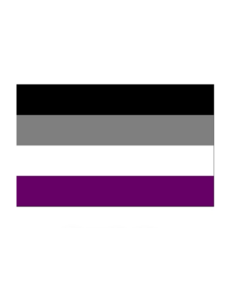RAINBOW ASEXUAL STICKER 2"x3"