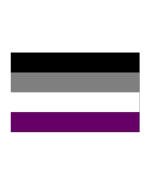 RAINBOW ASEXUAL STICKER 2"x3"