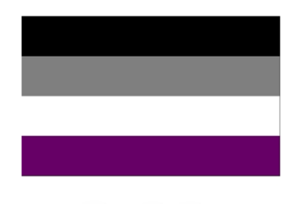 RAINBOW ASEXUAL STICKER 2"x3"