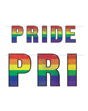  RAINBOW "PRIDE" PENNANTS