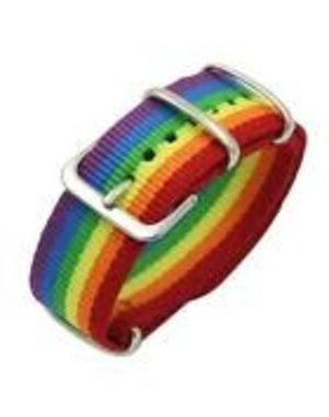  RAINBOW STRIPE NYLON BUCKLE BRACELET