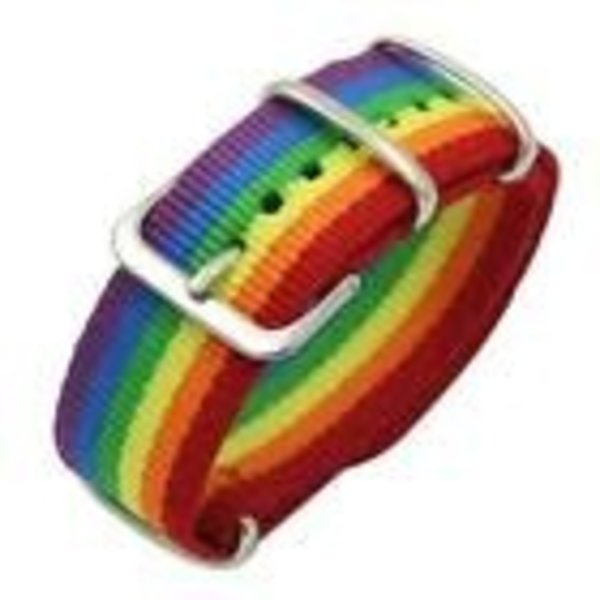 RAINBOW STRIPE NYLON BUCKLE BRACELET