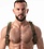 LEADER LEADER COMBAT HARNESS