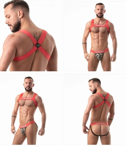 LEADER LEADER GI HARNESS