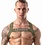 LEADER LEADER GI HARNESS