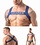 LEADER LEADER GI HARNESS