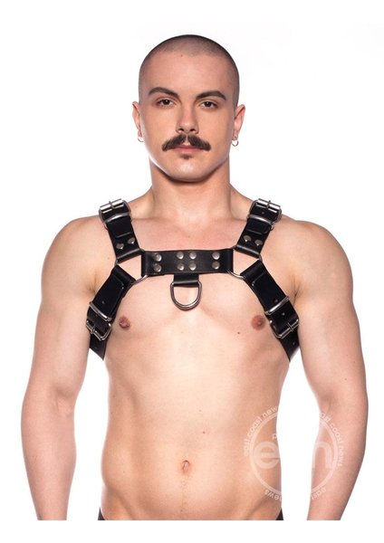 Prowler PROWLER RED BULL HARNESS BLACK/SILVER XX-LARGE
