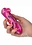 CalExotics NAUGHTY BITS SUCK BUDDY PINK & PURPLE