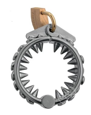 MASTER SERIES MASTER SERIES IMPALER LOCKING CBT RING WITH SPIKES