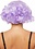 LEG AVENUE LEG AVENUE 12" CURLY BOB WIG