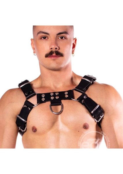 Prowler PROWLER RED BUTCH HARNESS PREMIUM BLACK XL