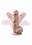 DR SKIN DR SKIN PLUS GIRTHY POSABLE 7"