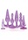 ICON BRANDS TRY-CURIOUS ANAL PLUG KIT PURPLE