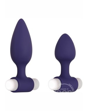 EVOLVED NOVELTIES EVOLVED DYNAMIC DUO RECHARGEABLE SILICONE PLUG SET