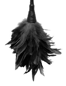 FETISH FANTASY FETISH FANTASY FRISKY FEATHER DUSTER 14" BLACK