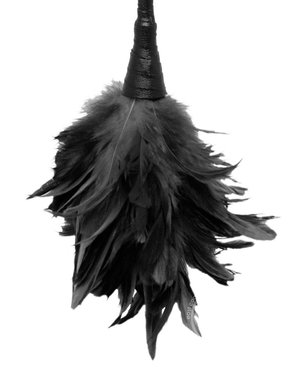 FETISH FANTASY FETISH FANTASY FRISKY FEATHER DUSTER 14" BLACK