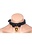 MASTER SERIES MASTER SERIES GOLDEN KITTY COLLAR BALCK & GOLD