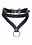 MASTER SERIES MASTER SERIES BONDAGE BADDIE COLLAR WITH O RING BLACK/GOLD
