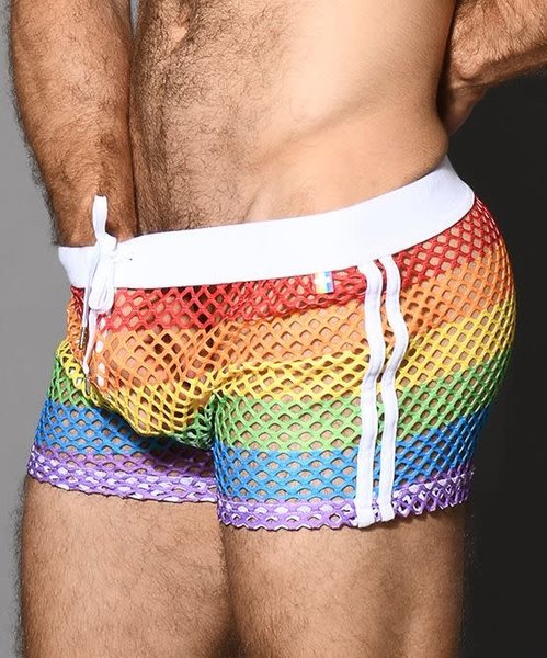 ANDREW CHRISTIAN ANDREW CHRISTIAN PRIDE MESH STRIPE SHORTS