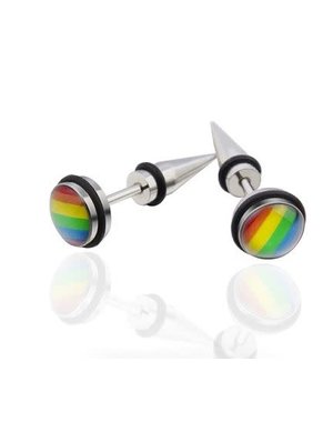 RAINBOW STAINLESS STEEL RAINBOW FAUX TAPER EARRINGS