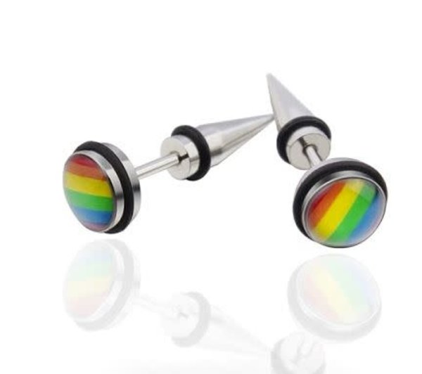RAINBOW STAINLESS STEEL RAINBOW FAUX TAPER EARRINGS