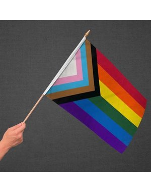RAINBOW PROGRESS PRIDE PARADE FLAG 12" X 18"