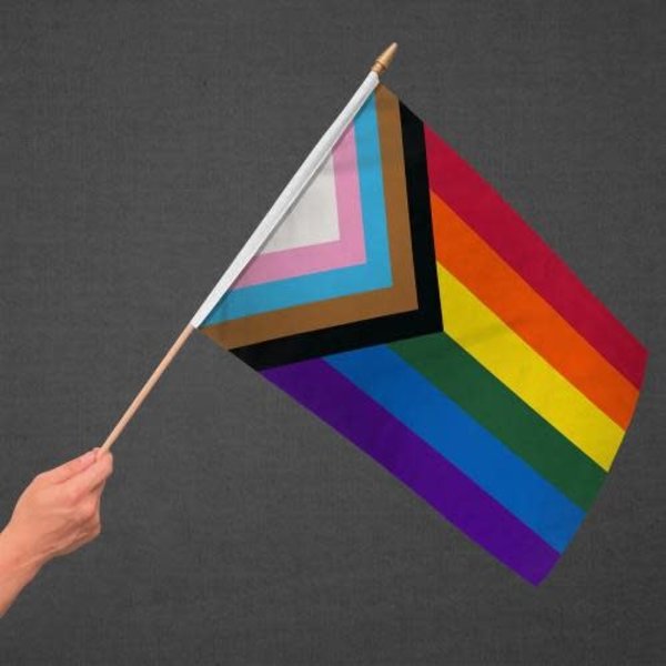 RAINBOW PROGRESS PRIDE PARADE FLAG 12" X 18"