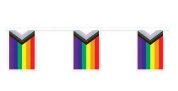 RAINBOW PROGRESS PENNANTS