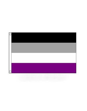 RAINBOW ASEXUAL FLAG  2'x3' (POLYESTER)