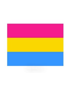 FLYING MONKEE PANSEXUAL POLYESTER FLAG 3' X 5'
