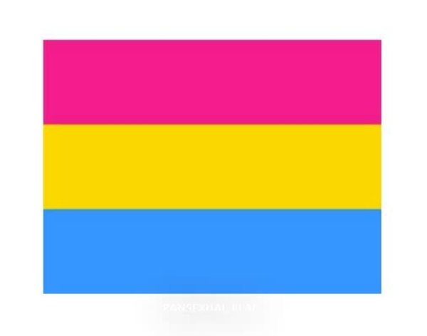 FLYING MONKEE PANSEXUAL POLYESTER FLAG 3' X 5'