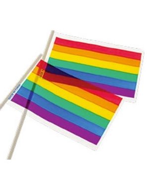 RAINBOW PLASTIC RAINBOW PARADE FLAG 4"x6"
