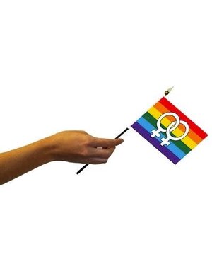 RAINBOW LESBIAN (DOUBLE VENUS) RAINBOW PARADE FLAG 4"x6"