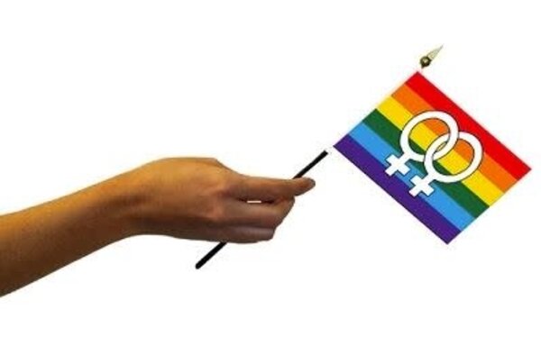 RAINBOW LESBIAN (DOUBLE VENUS) RAINBOW PARADE FLAG 4"x6"